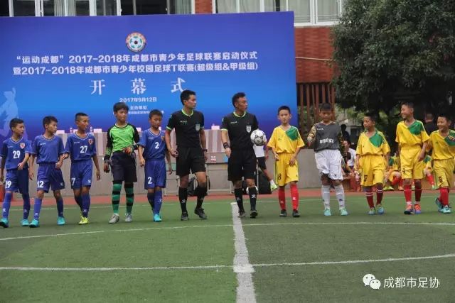 历史回顾：8月19日大乐透历史开奖数据汇总